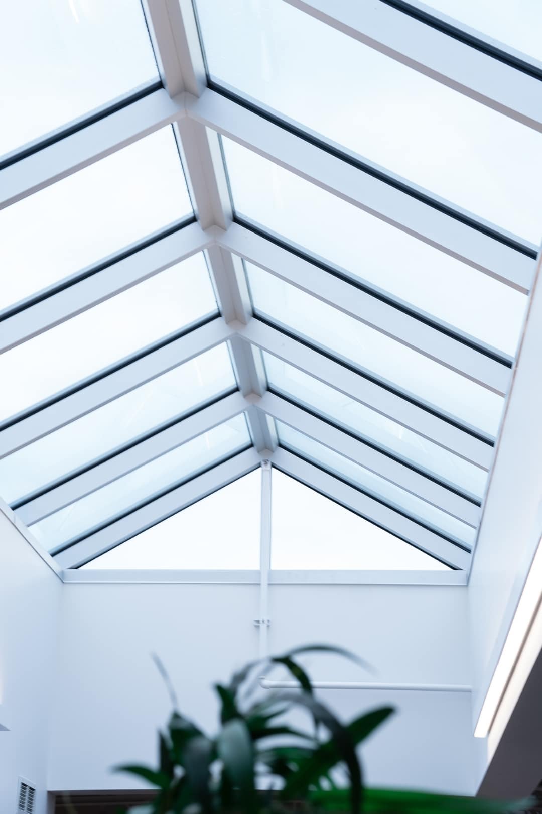 Entretien commercial Domus