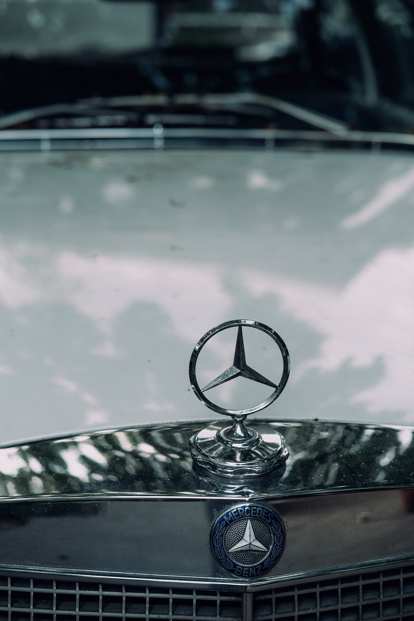 Dans le monde de l'automobile